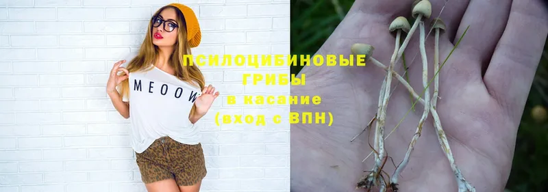 Галлюциногенные грибы Psilocybine cubensis  хочу   omg ТОР  Завитинск 